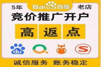 成功SEM托管案例：流量与转化双赢